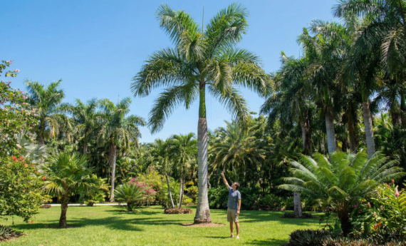 Gemini_Generated_Image_tweiiltweiiltwei